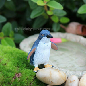 Miniature Penguin
