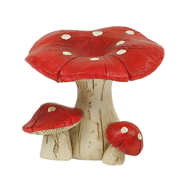 Red Toadstool Group