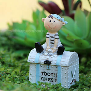 Pirate Tooth Chest Blue