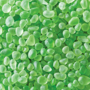 Green Frost Glass Pebbles Fairy Garden