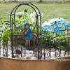 Beautiful Blue Scilla's Fairy Garden
