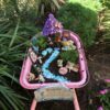 My Little Fairy Garden Customer Garden