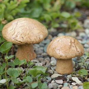 Natural Clay Mushroom Fairy Garden